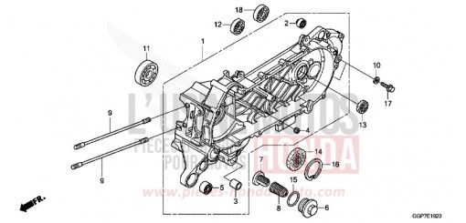 CARTER VILEBREQUIN GAUCHE NSC50T2E de 2014